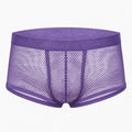 Purple mesh underwear on a white background