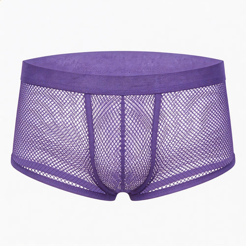 Purple mesh underwear on a white background