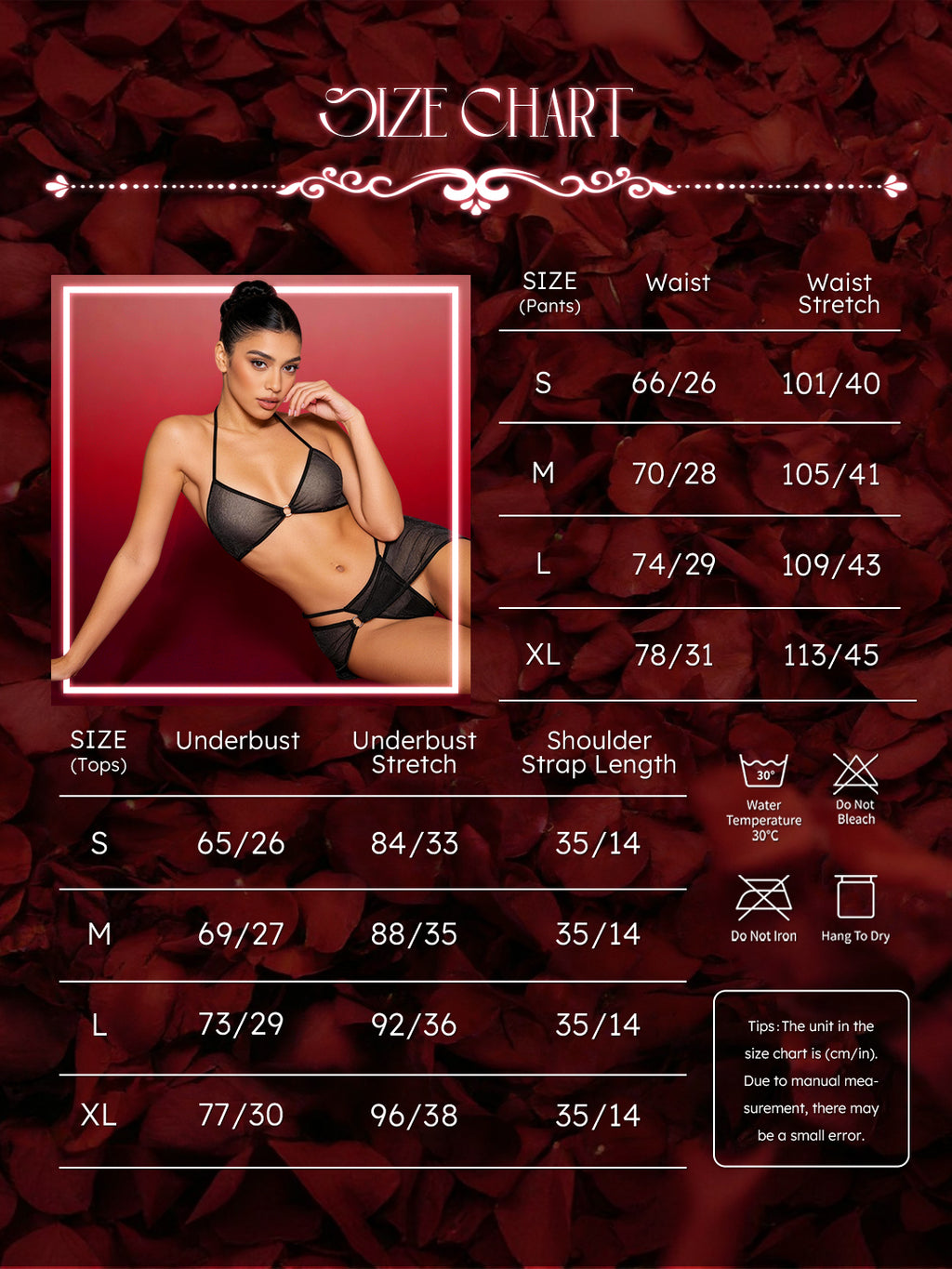 TTの秘密のバレンタインパーティーボックス