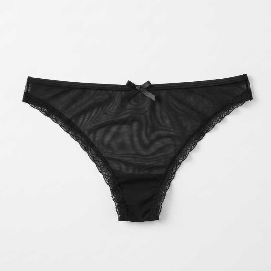 Black Sheer Mesh Bikini Brief - White Background